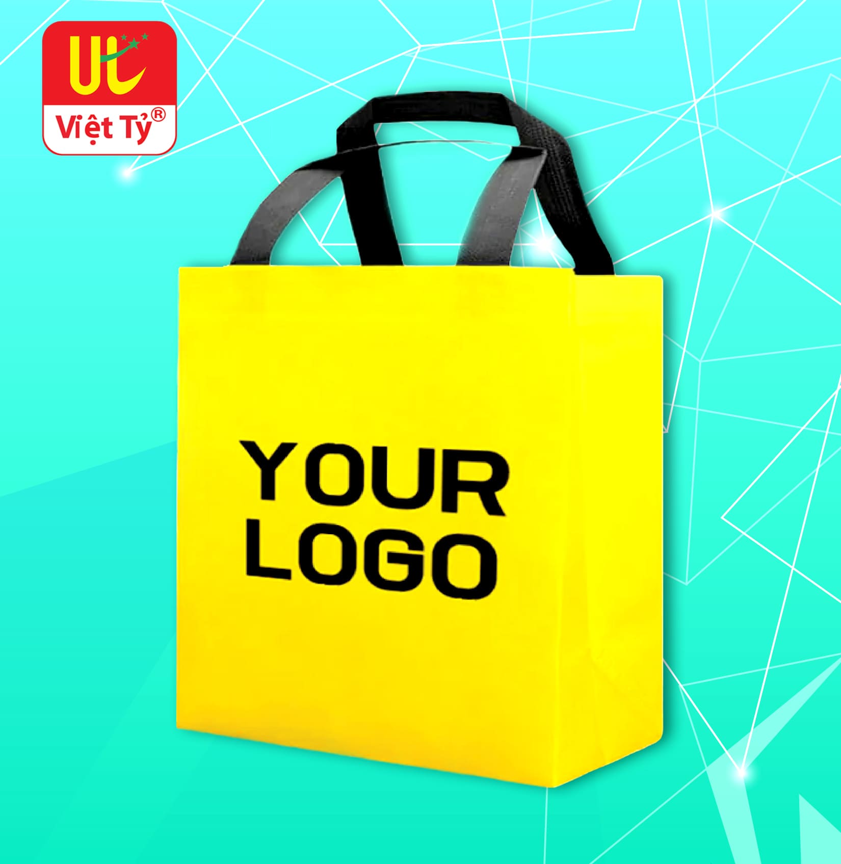 Túi Vải Không Dệt 2